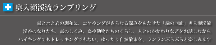 奥入瀬渓流ランブリングツアーについて