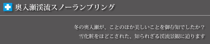 奥入瀬渓流スノーランブリングツアーについて