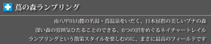 蔦の森ランブリングツアーについて