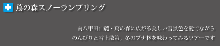 蔦の森スノーランブリングツアー